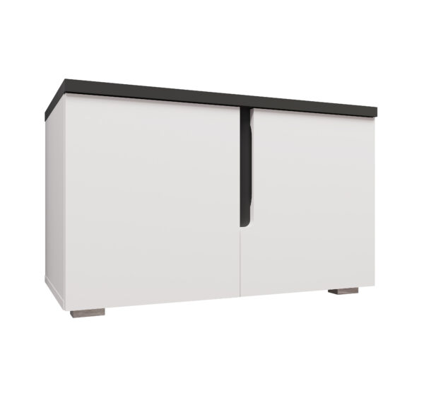 Тумба 2Д Джордан білий/антрацит